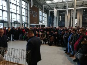 67 Okręgowa Wystawa Gołębi Pocztowych - Ostróda 2019